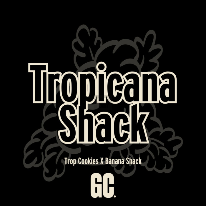 Tropicana Shack de Grand Cru Genetics Tropicana Shack de Grand Cru Genetics