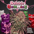 BubbleGummieZ