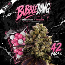 BubbleDawg