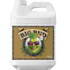Big Bud Coco Advanced Nutrients 1L