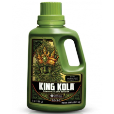 King Kola