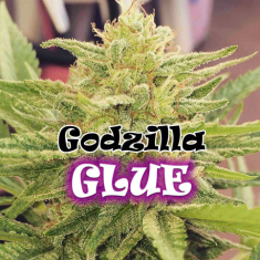 Godzilla Glue Feminizada Dr. Underground