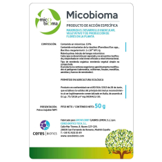 Micobioma (WP) Micorrizas y Bacterias