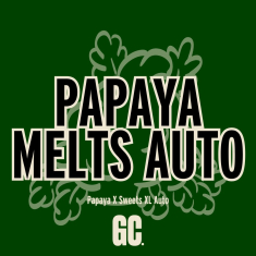 Papaya Melts Auto de Grand Cru Genetics