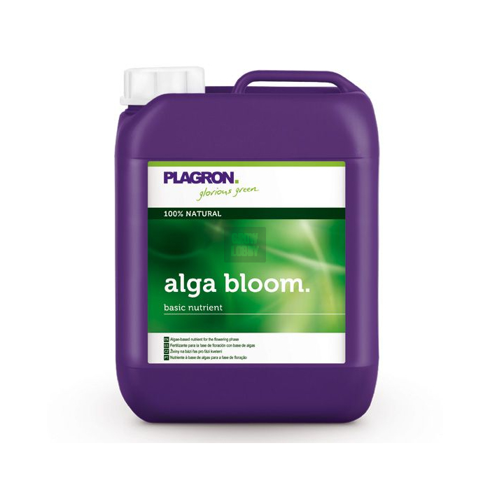 Alga Bloom