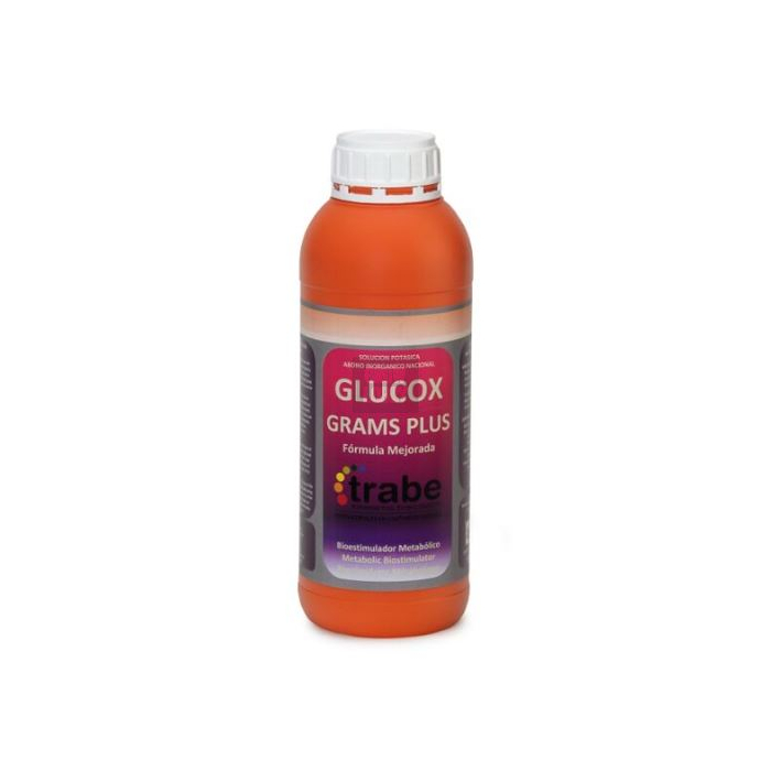 Sweet Grams Plus Trabe