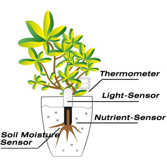 Flower Care™ Smart Monitor