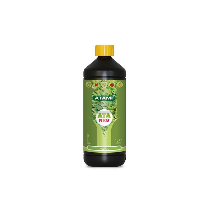 Alga C