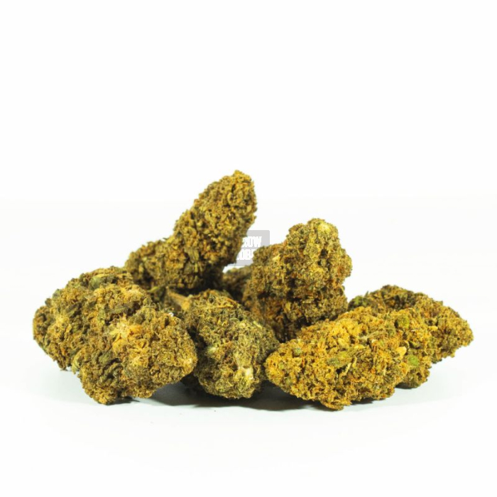 Amnesia OG