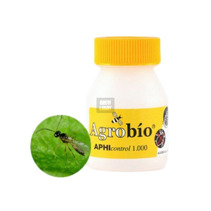 APHIcontrol (Aphidius Colemani) APHIcontrol (Aphidius Colemani)