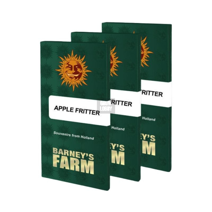 Apple Fritter