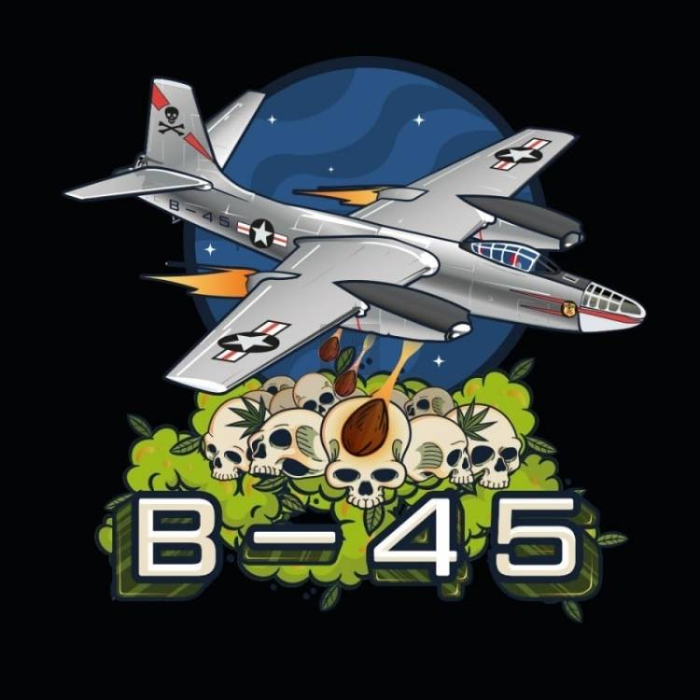 B-45 