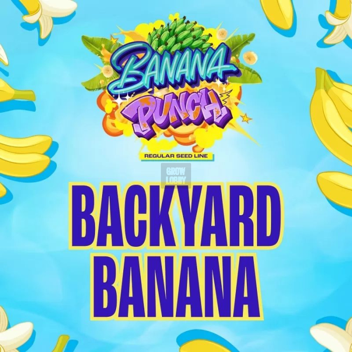 Backyard Banana (Backyard Candies x Banana Punch)