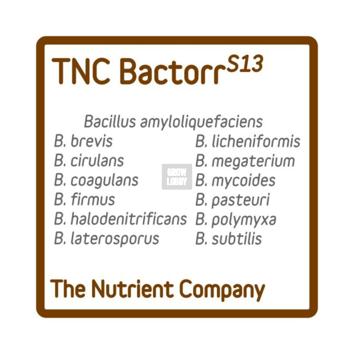 BactorrS13 TNC Bacterias