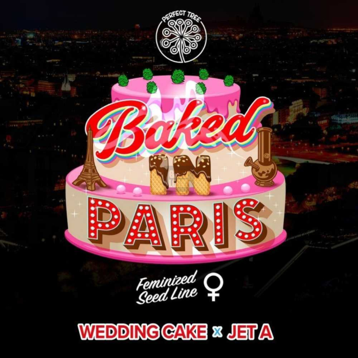 Baked In Paris (Wedding Cake x Jet A)