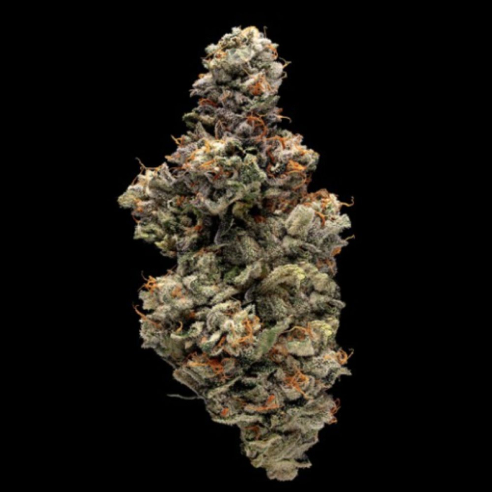 Baker's Delight