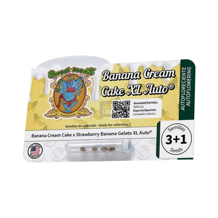 Banana Cream Cake XL Auto Banana Cream Cake XL Auto