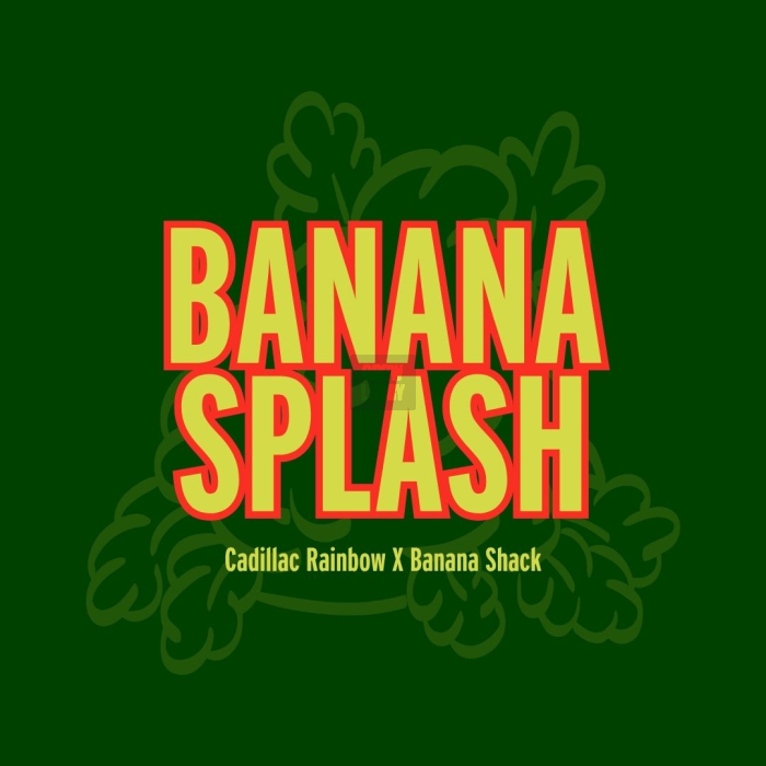 Banana Splash Banana Splash