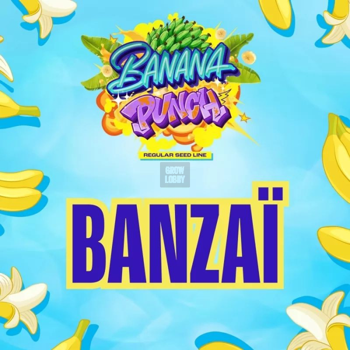 Banzaï (Zaïzaï x Banana Punch) Banzaï (Zaïzaï x Banana Punch)