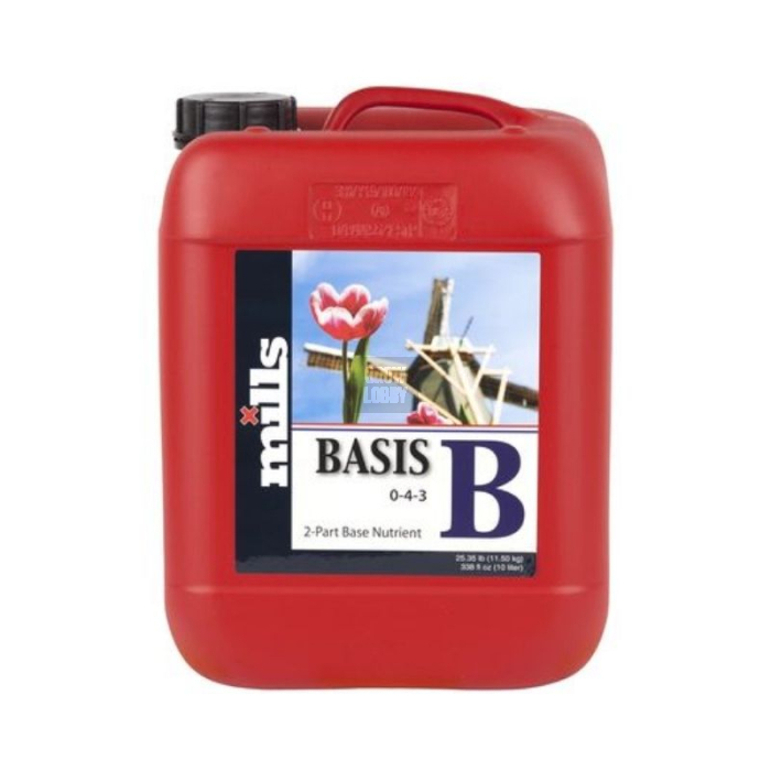 Mills Basis B