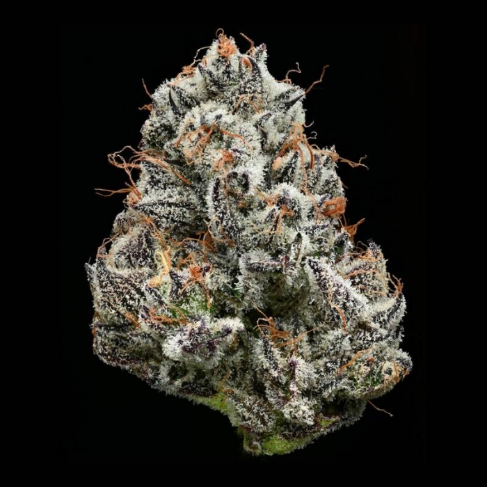 Black Cherry Gushers