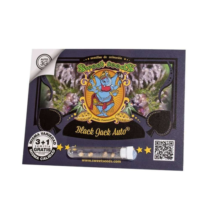 Black Jack Auto