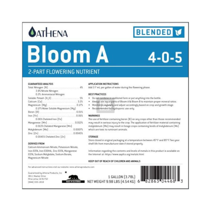 Athena Bloom A+B