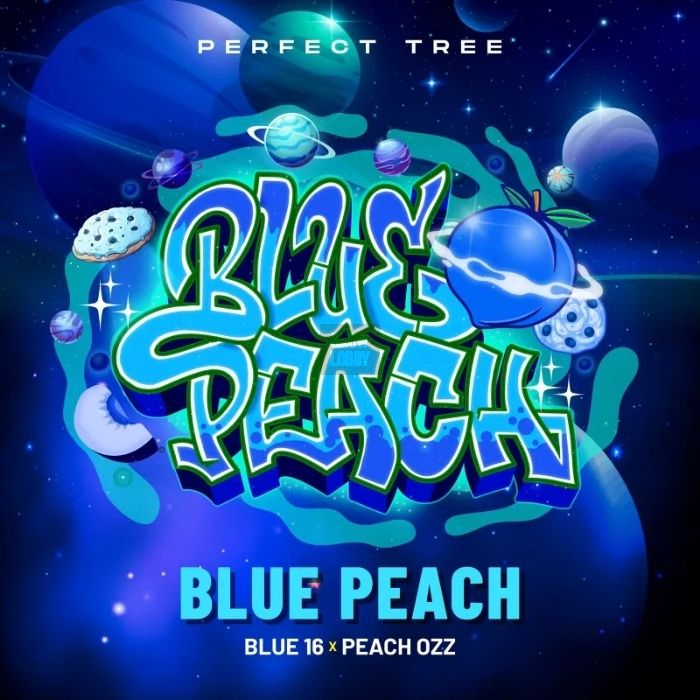 Blue Peach (Blue 16 x Peach Ozz)