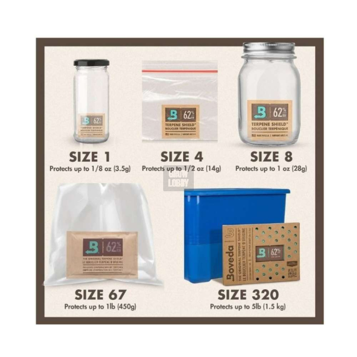 Boveda 62%