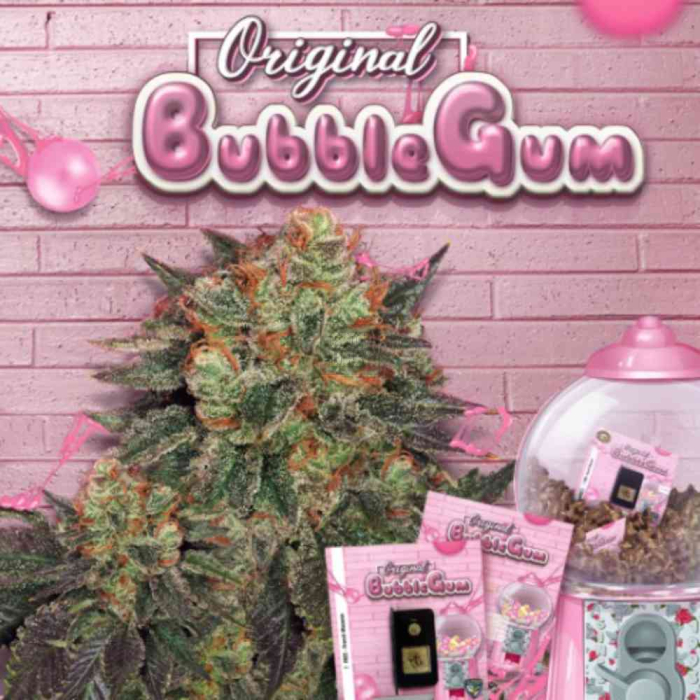 Bubblegum