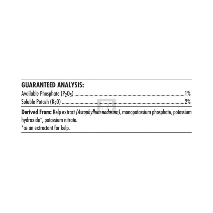 Bud Ignitor