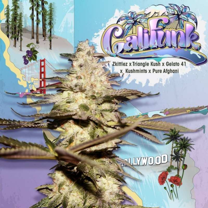 Califunk