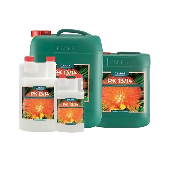 Canna PK 13 14