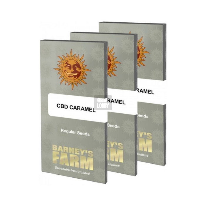CBD Caramel Regular