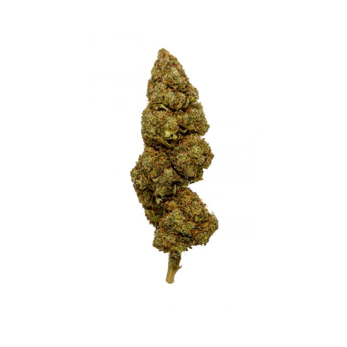 Cherry CBD XUXES