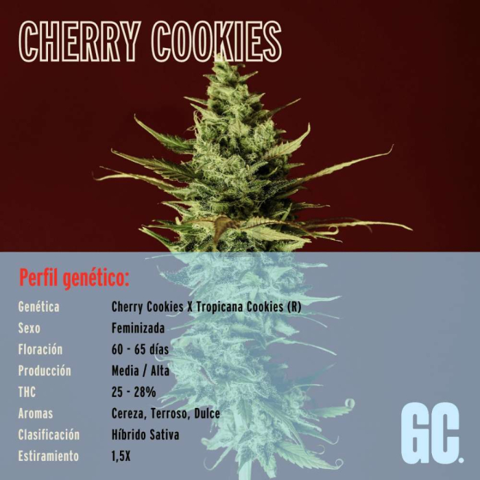 Cherry Cookies Cherry Cookies