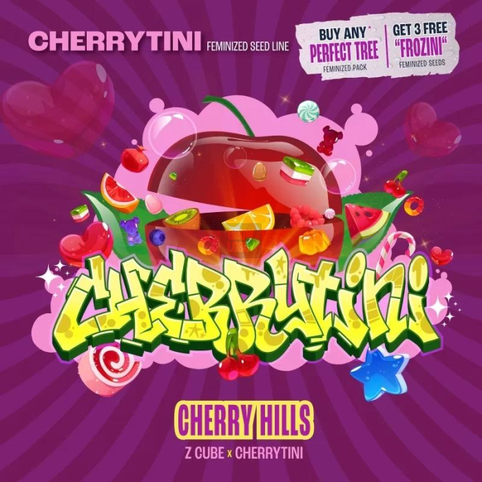Cherry Hills (Z Cube x Cherrytini)