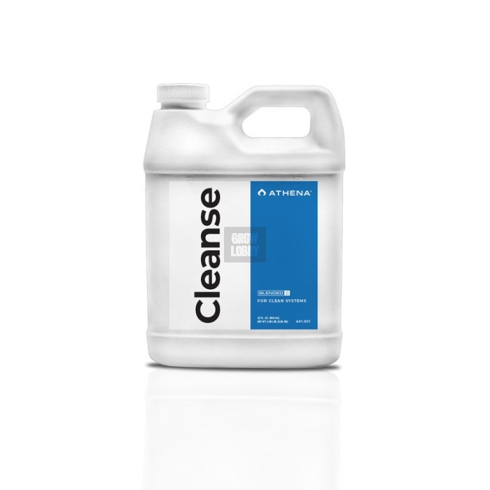 Cleanse