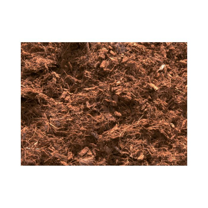 Cocos Substrate B'cuzz Atami