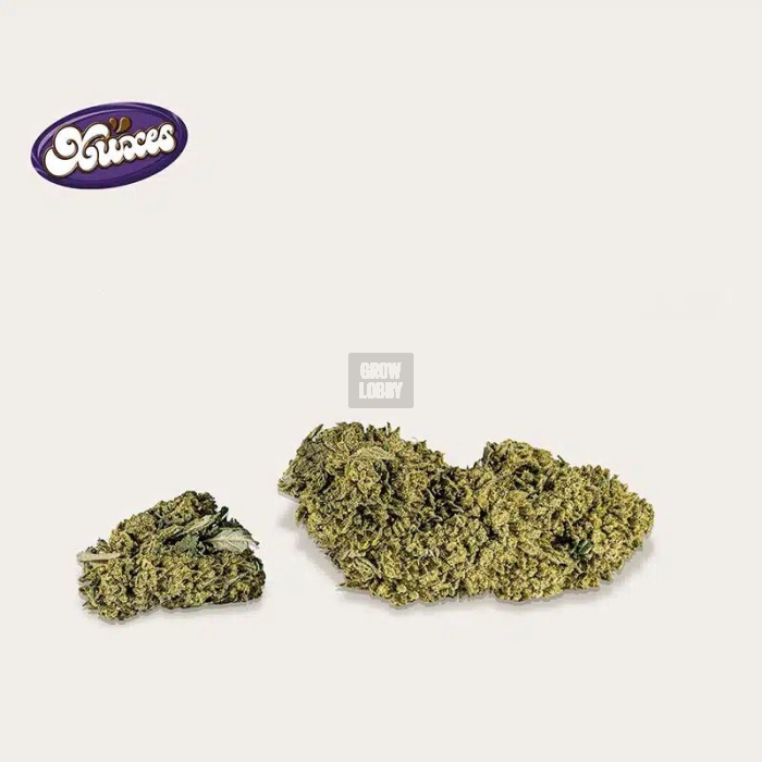 Cookies CBD