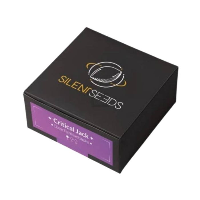 Critical Jack Critical Jack