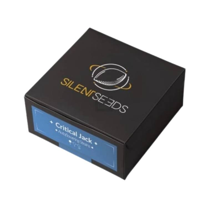 Critical Jack Auto Critical Jack Auto