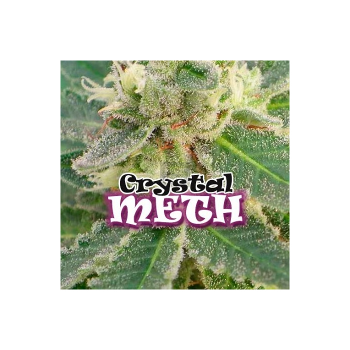 Crystal Meth