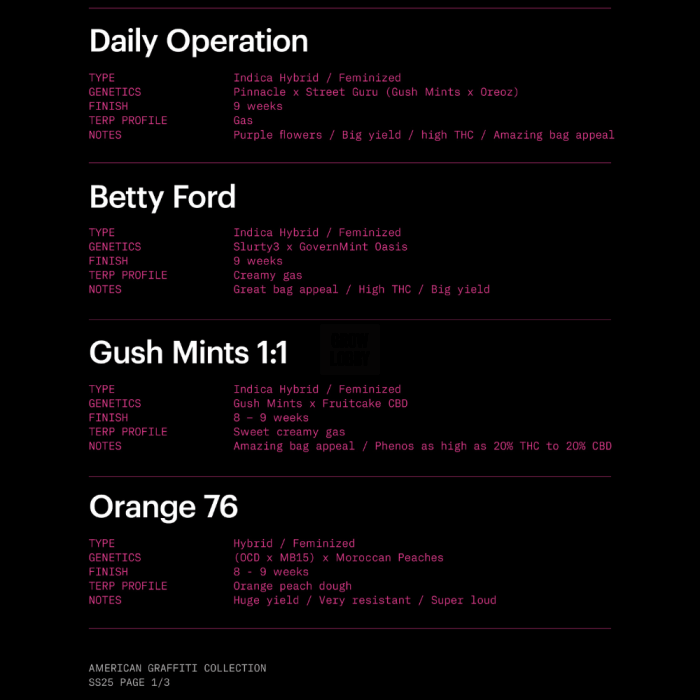 Daily Operation Daily Operation