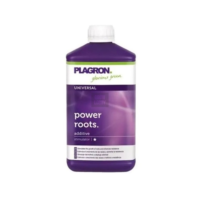 Power Roots