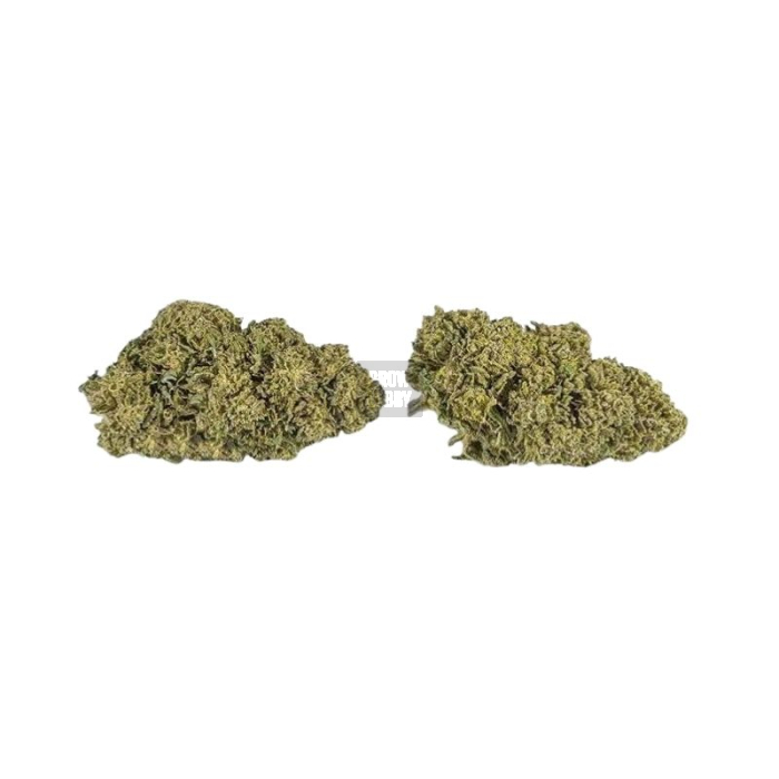Watermelon CBD XUXES