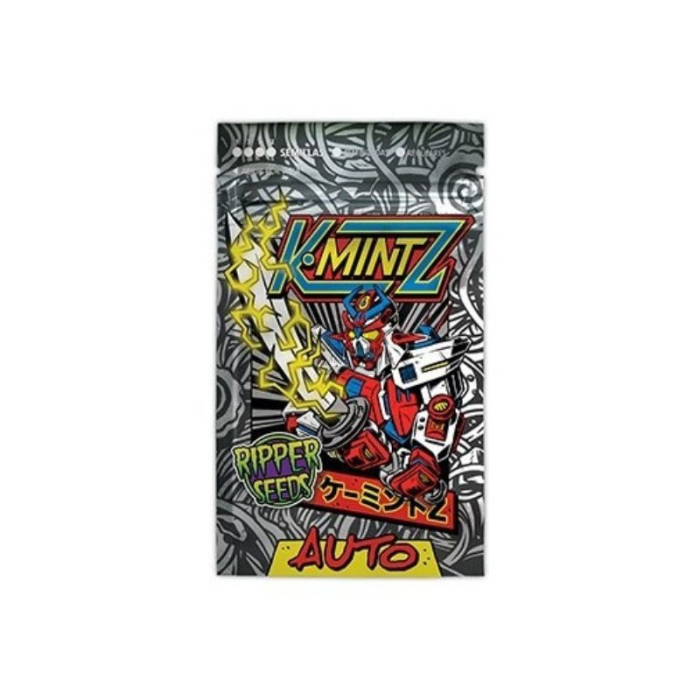 K-Mintz Auto
