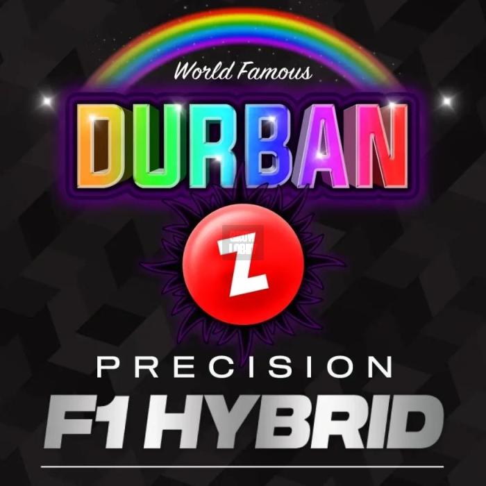 Durban Z F1 Durban Z F1