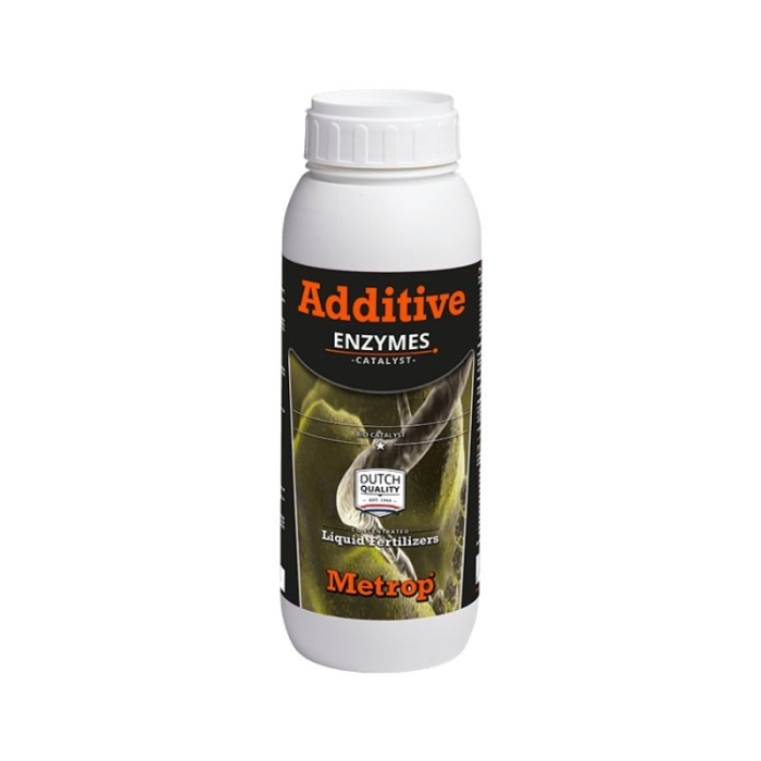 Enzymes