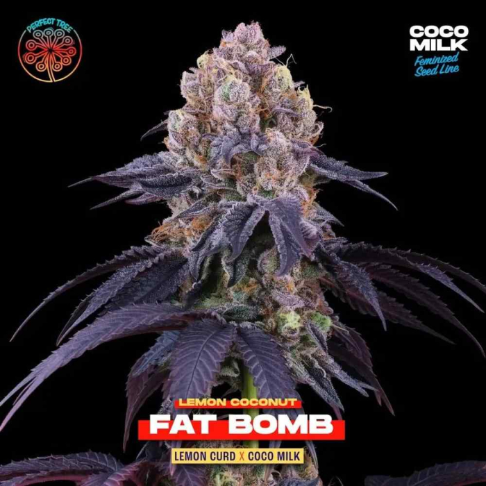 Fat Bomb (Lemon Curd x Coco Milk)